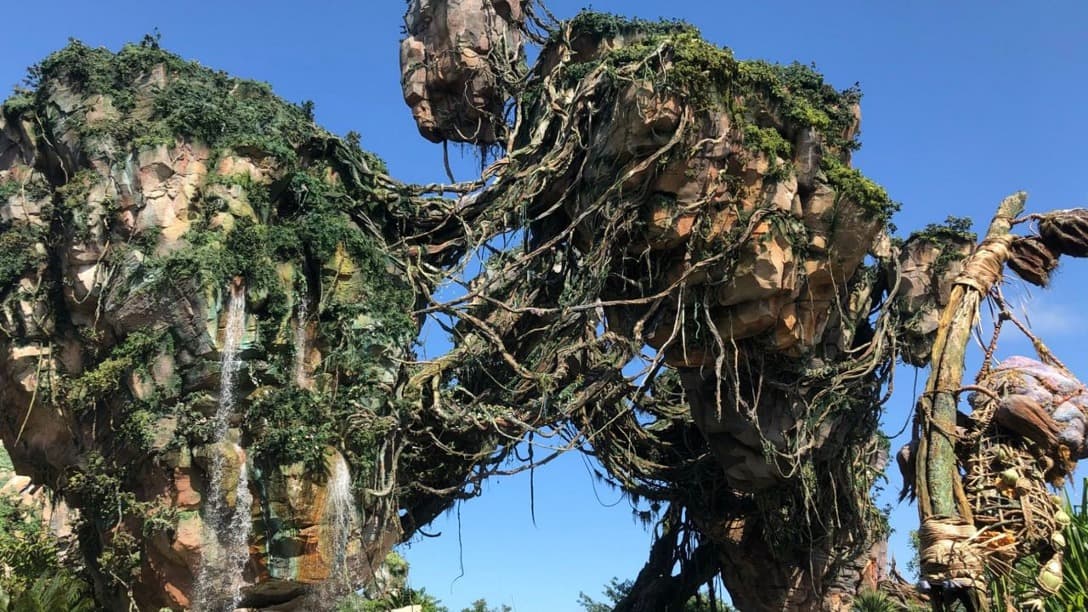 Disney World Animal Kingdom